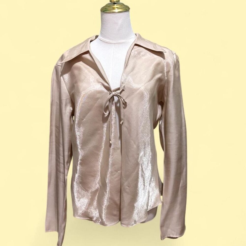 Gold Shimmery Blouse